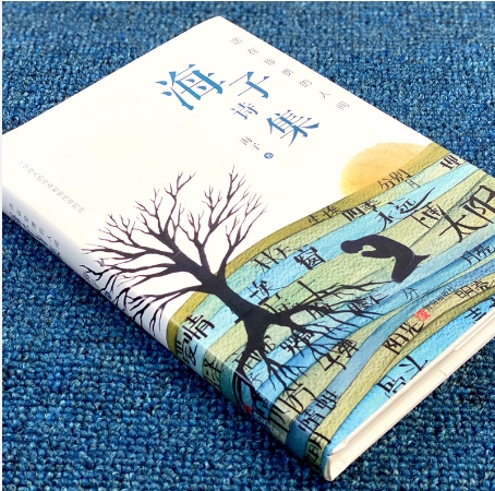 《海子的诗精选》